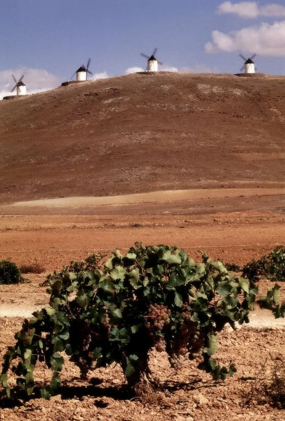 Paisaje de La Mancha